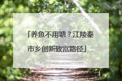 养鱼不用塘？江陵秦市乡创新致富路径