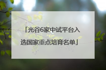 光谷6家中试平台入选国家重点培育名单
