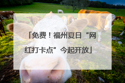 免费！福州夏日“网红打卡点”今起开放