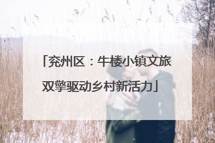 兖州区：牛楼小镇文旅双擎驱动乡村新活力
