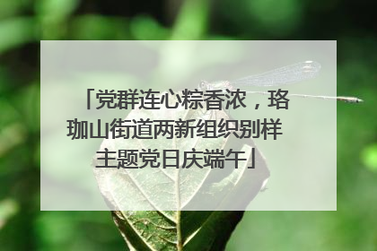 党群连心粽香浓，珞珈山街道两新组织别样主题党日庆端午
