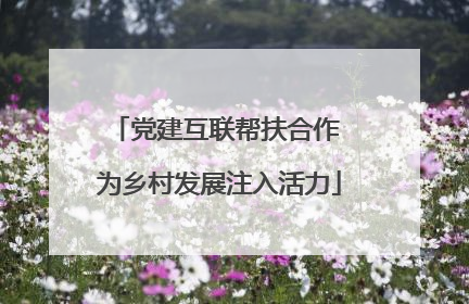 党建互联帮扶合作 为乡村发展注入活力