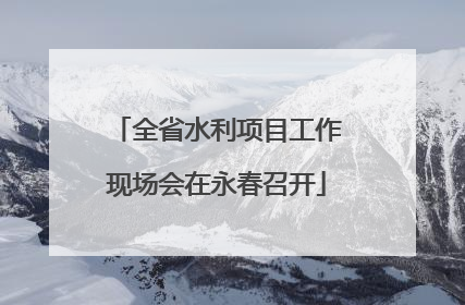全省水利项目工作现场会在永春召开