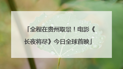 全程在贵州取景！电影《长夜将尽》今日全球首映