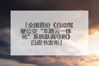 全国首份《自动驾驶公交“车路云一体化”系统联调导则》白皮书发布