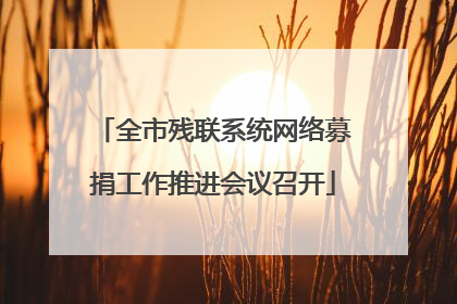 全市残联系统网络募捐工作推进会议召开