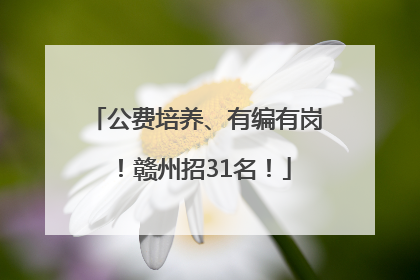 公费培养、有编有岗！赣州招31名！