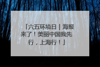 六五环境日｜海报来了！美丽中国我先行，上海行！