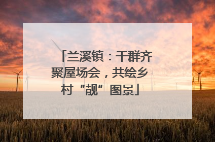 兰溪镇：干群齐聚屋场会，共绘乡村“靓”图景