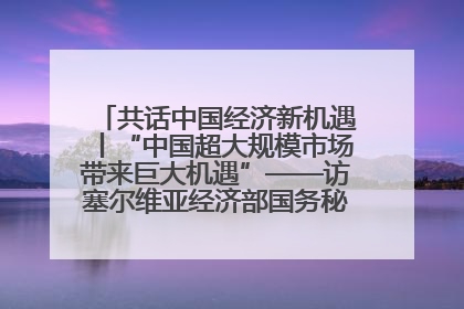 共话中国经济新机遇丨“中国超大规模市场带来巨大机遇”——访塞尔维亚经济部国务秘书尼科利奇