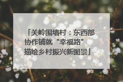 关岭围墙村：东西部协作铺就“幸福路” 描绘乡村振兴新图景