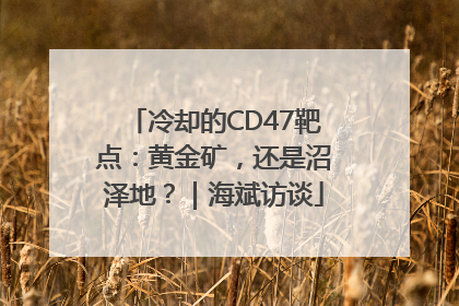 冷却的CD47靶点：黄金矿，还是沼泽地？｜海斌访谈
