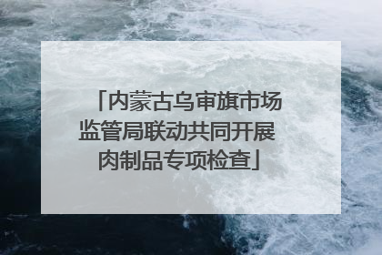 内蒙古乌审旗市场监管局联动共同开展肉制品专项检查