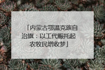 内蒙古鄂温克族自治旗：以工代赈托起农牧民增收梦