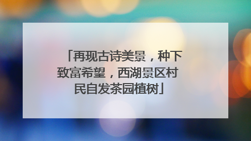 再现古诗美景，种下致富希望，西湖景区村民自发茶园植树