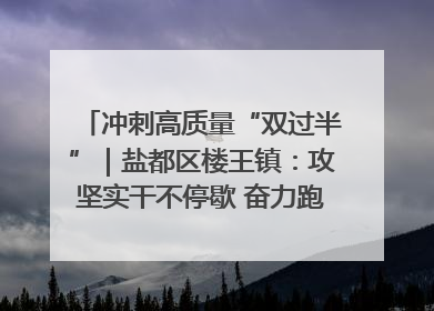 冲刺高质量“双过半”｜盐都区楼王镇：攻坚实干不停歇 奋力跑赢“上半场”