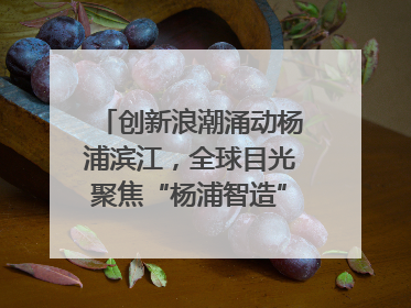 创新浪潮涌动杨浦滨江，全球目光聚焦“杨浦智造”｜相约复兴岛