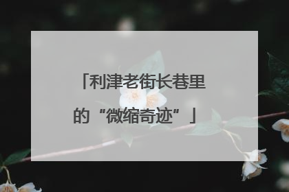 利津老街长巷里的“微缩奇迹”