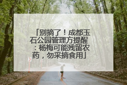 别摘了！成都玉石公园管理方提醒：杨梅可能残留农药，勿采摘食用