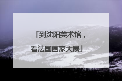到沈阳美术馆，看法国画家大展
