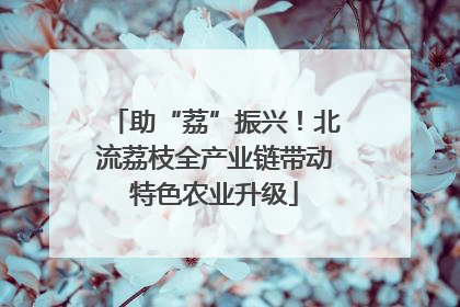 助“荔”振兴！北流荔枝全产业链带动特色农业升级