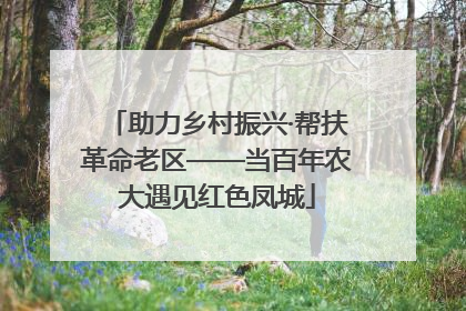 助力乡村振兴·帮扶革命老区——当百年农大遇见红色凤城