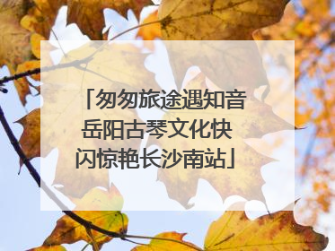 匆匆旅途遇知音 岳阳古琴文化快闪惊艳长沙南站