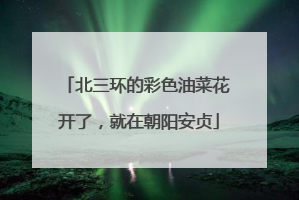 北三环的彩色油菜花开了，就在朝阳安贞