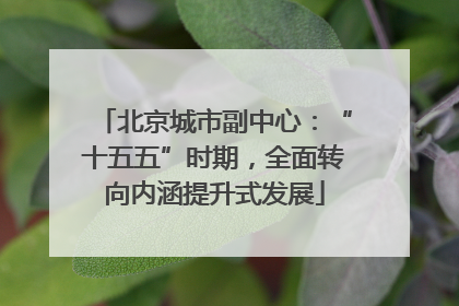 北京城市副中心：“十五五”时期，全面转向内涵提升式发展