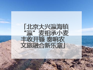 北京大兴瀛海镇“瀛”麦相承小麦丰收开镰 奏响农文旅融合新乐章