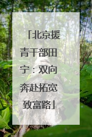 北京援青干部田宁：双向奔赴拓宽致富路
