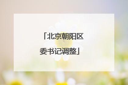 北京朝阳区委书记调整