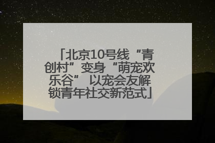北京10号线“青创村”变身“萌宠欢乐谷” 以宠会友解锁青年社交新范式
