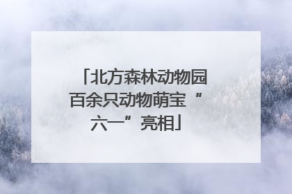 北方森林动物园百余只动物萌宝“六一”亮相
