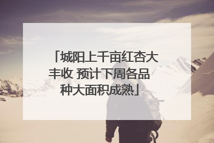 城阳上千亩红杏大丰收 预计下周各品种大面积成熟