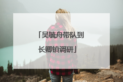 吴毓舟带队到长卿镇调研