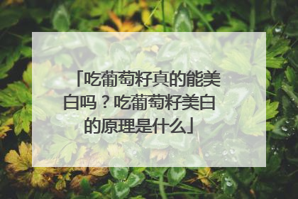 吃葡萄籽真的能美白吗？吃葡萄籽美白的原理是什么