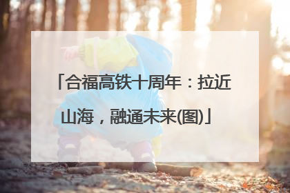 合福高铁十周年：拉近山海，融通未来(图)
