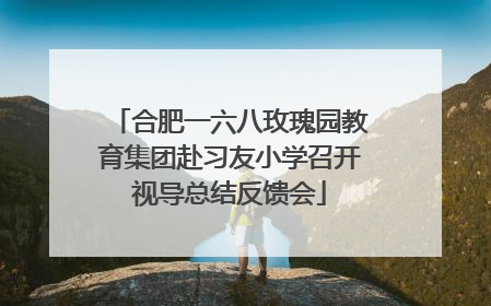 合肥一六八玫瑰园教育集团赴习友小学召开视导总结反馈会