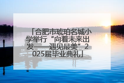 合肥市琥珀名城小学举行“向着未来出发——遇见最美”2025届毕业典礼