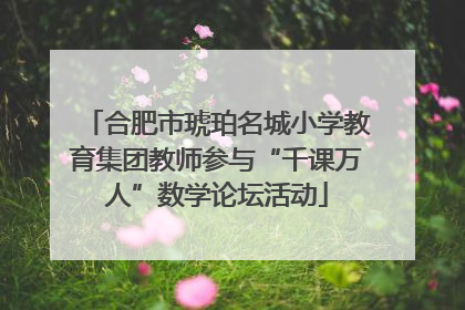 合肥市琥珀名城小学教育集团教师参与“千课万人”数学论坛活动