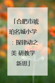 合肥市琥珀名城小学：探律动之美 研教学新思