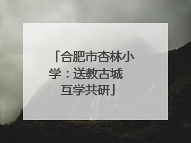 合肥市杏林小学：送教古城 互学共研