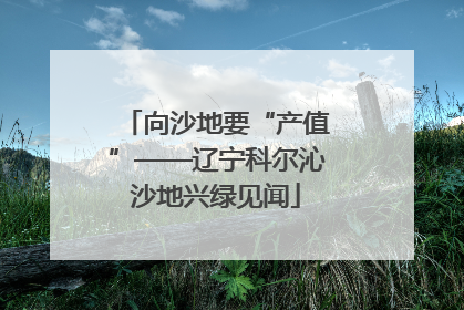 向沙地要“产值”——辽宁科尔沁沙地兴绿见闻