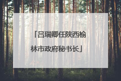 吕瑞卿任陕西榆林市政府秘书长