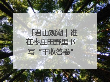 君山观潮｜谁在枣庄田野里书写“丰收答卷”？夏收交响与特色产业，共绘乡村振兴新图景