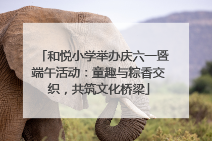 和悦小学举办庆六一暨端午活动：童趣与粽香交织，共筑文化桥梁