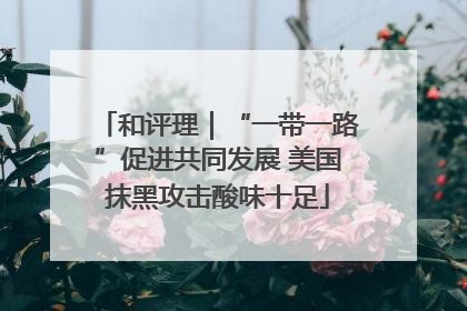 和评理｜“一带一路”促进共同发展 美国抹黑攻击酸味十足
