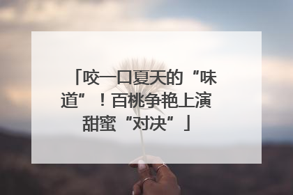 咬一口夏天的“味道”！百桃争艳上演甜蜜“对决”