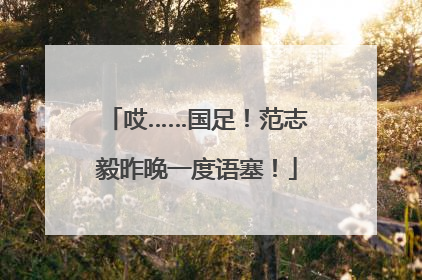 哎……国足！范志毅昨晚一度语塞！